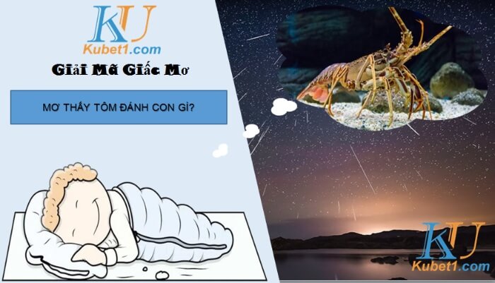 Mơ thấy tôm có điềm gì, đánh lô đề con gì?