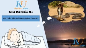 Nằm mơ thấy rắn hổ mang đánh con gì phát tài?